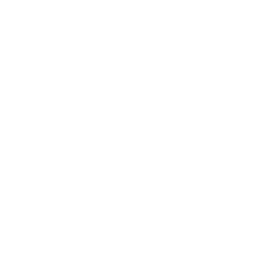 BMI
